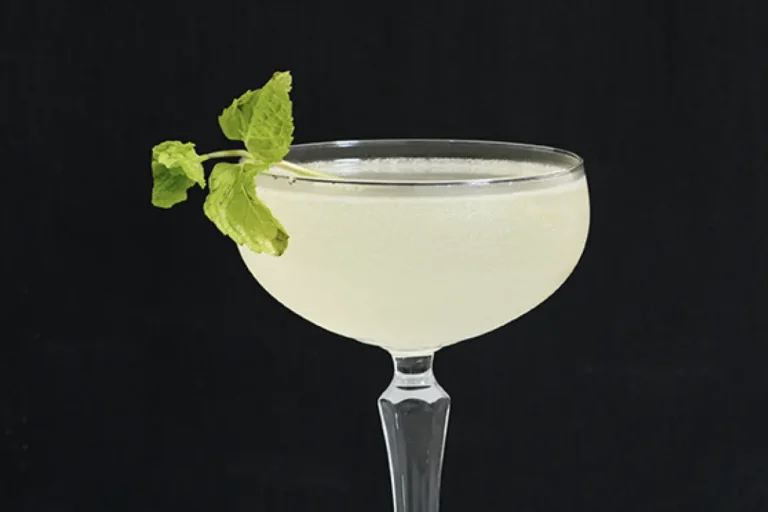 Cocktail, Gin , Champagne, Mint