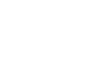 logo the liquineers NEW